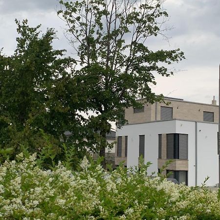 Mosaikhaus Smart Home Würselen Exterior foto