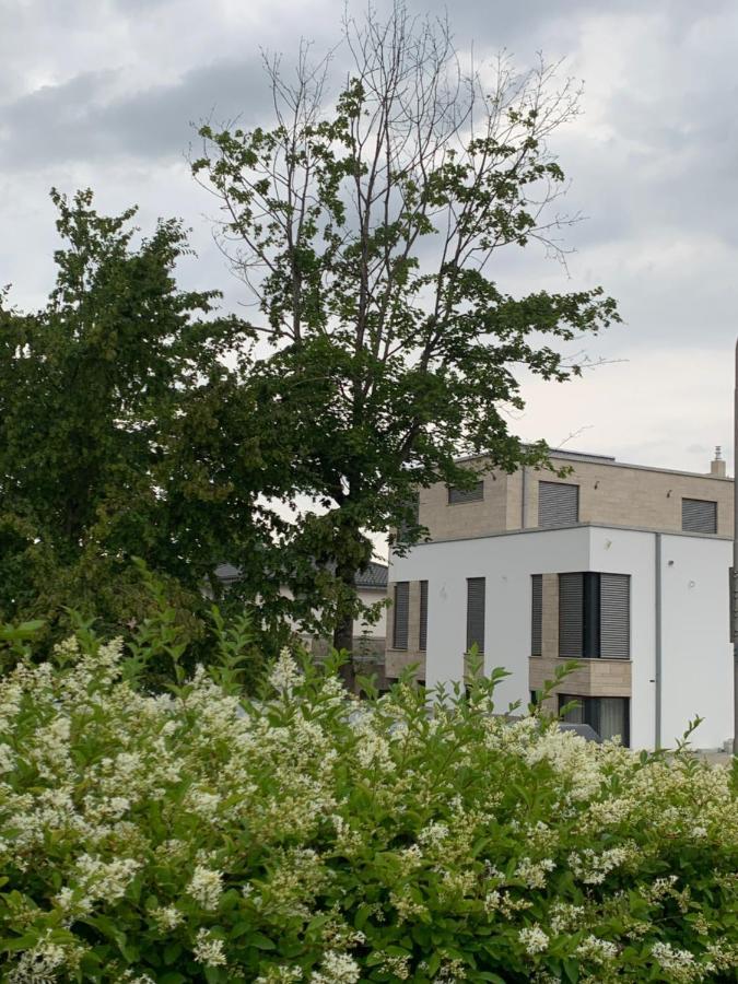 Mosaikhaus Smart Home Würselen Exterior foto